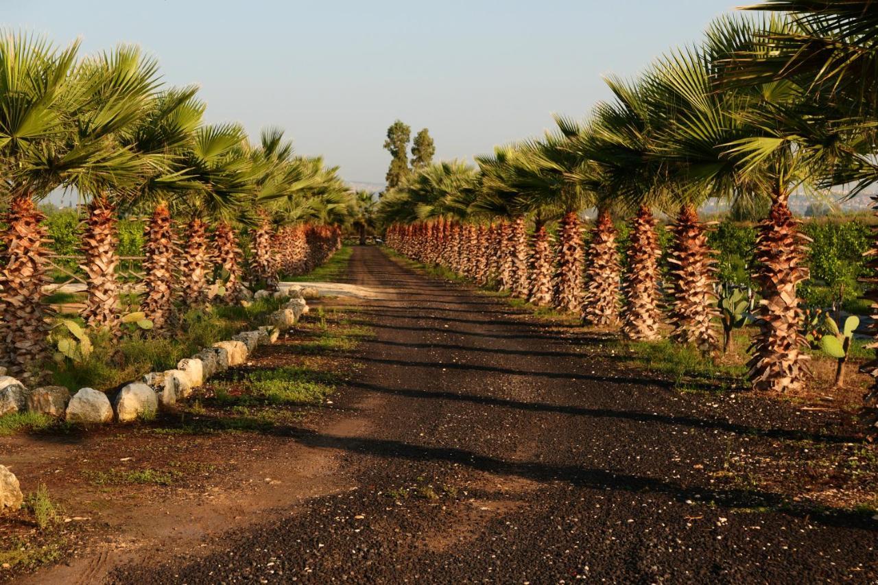 Agriturismo Papyrus Syracuse ภายนอก รูปภาพ